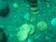 Indonesia Has Hundreds of Underwater Treasure Locations