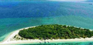 Tabuhan Island, An Uninhabited Island Perfect for Kitesurfing and Snorkeling! Tabuhan Island