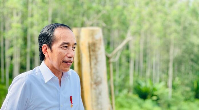 Jokowi Claims Air Quality in IKN is Cleaner than in Singapore Jokowi Claims Air Quality in IKN is Cleaner than in Singapore