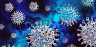 The Latest Data On The Spread Of The Corona Virus In 34 Provinces In Indonesia expatriate expat indonesia