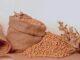 Indonesian Diaspora Business Meeting In Midwest USA: Leading Soybean Seeds Will be Developed With a Large Scale Expatriate expat indonesia