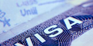 Immigration Office are Closed Temporary, Visa Service Remain Open Online VISA