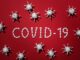 WHO Records Global Coronavirus Records, 307,930 Cases a Day corona virus