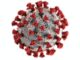 Corona Update September 17: 232,628 Positive, 166,686 Healed Corona Update