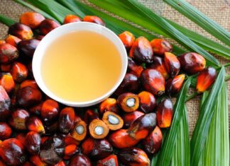 RI Persuades UK Not To Make Rules That Disrupt Palm Oil & Coffee Exports export, united kingdom, indonesia, palm oil, coffee