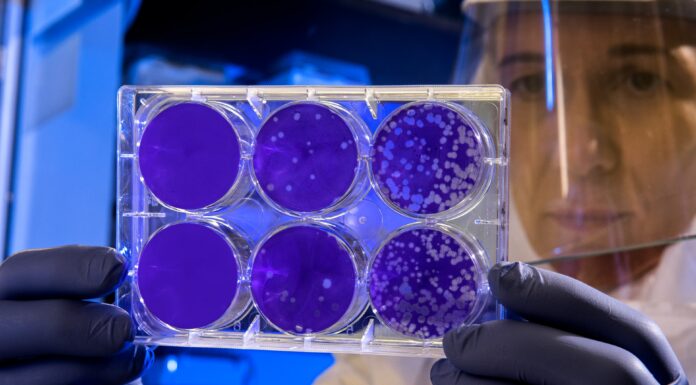 A New Variant of the Corona Mutation Has Been Found virus, corona