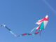 A Kite Stuck on A Plane Gear While Landing, Passengers Were Safe kite, plane, airplane