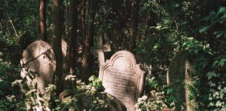 59 Dead Bodies Found in Hidden Graves in Mexico tomb, grave