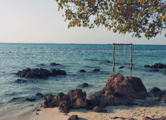 Karimunjawa Island is Officially Reopened for Tourists karimunjawa, karimunjawa island, travel, tourism