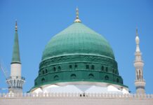 Great Mosque in France Terrorized with A Pig Head mosque