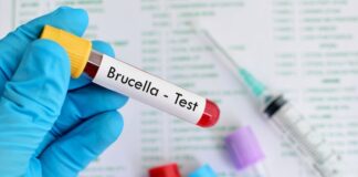 China Reports More Than 6,000 People Infected with Brucellosis brusella