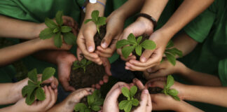One Million Trees Planted at the Slope of Mount Welirang to Prevent Natural Disasters planting
