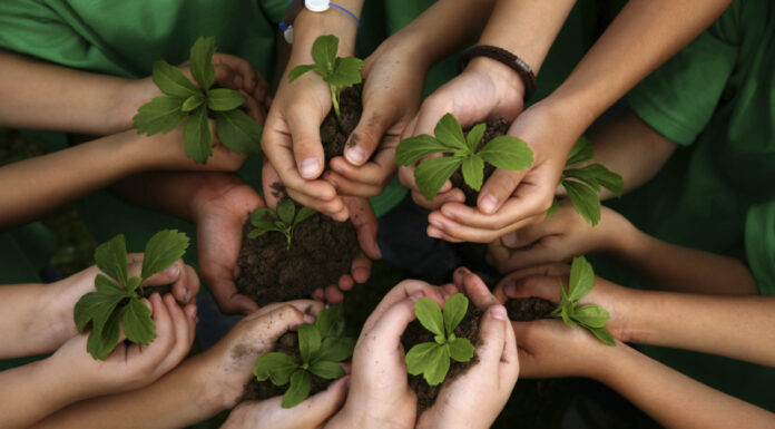 One Million Trees Planted at the Slope of Mount Welirang to Prevent Natural Disasters planting