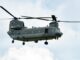 8 Peacekeepers Killed in Egypt Helicopter Crash helicopter