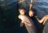 Konawe Islands Residents Found A Dugong with Several Wounds on Its Body dugong