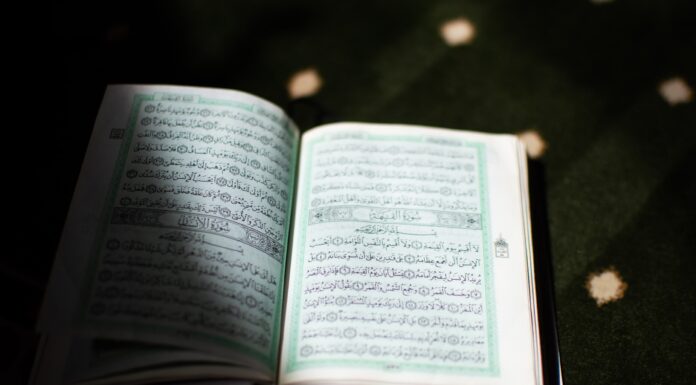 Belgium Arrests 5 Activists Who Want to Burn the Qur’an Qur'an
