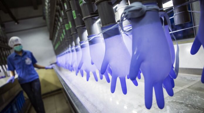 1,500 Employees Affected by Corona, Top Glove Closed More than Half of Its Factories top glove