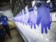 1,500 Employees Affected by Corona, Top Glove Closed More than Half of Its Factories top glove
