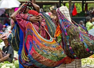 Noken Papua, a World Cultural Heritage with a Deep Meaning noken papua