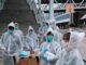 Hong Kong Enforces a 3-Week Quarantine Period for Foreign Tourists hong kong
