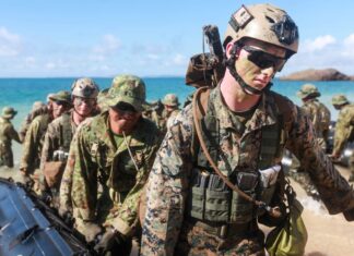 US Permits Military Injury to Marine Mammals During Maritime Exercises navy