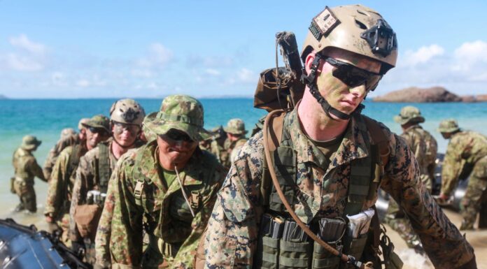US Permits Military Injury to Marine Mammals During Maritime Exercises navy