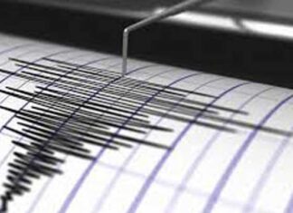 Earthquake 4.2 Magnitude Shook Brebes, 23 Houses in Kuningan Damaged earthquake
