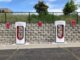 Government institutions to start using electric cars