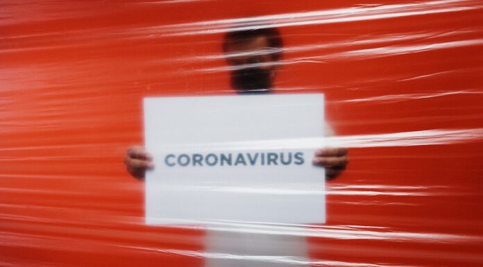 Positive cases of Covid-19 of today: 11,557 cases