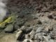 Thousand left homeless after powerful earthquake in Sulawesi
