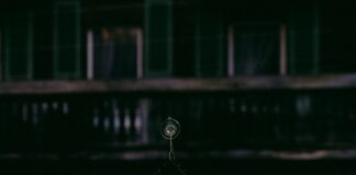 There will be no lockdown in Jakarta