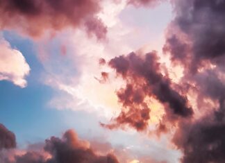 Jakarta’s air quality slightly better last year