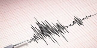 Earthquake hits Japan but no major damage
