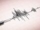 Earthquake hits Japan but no major damage