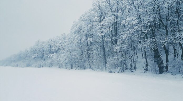 Snowstorm hits Netherlands and Germany