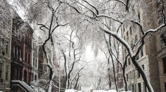 Snowstorm across US hits several states