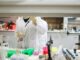 Bio Farma got the green light for vaccine from government