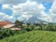 Mount Sinabung in North Sumatera erupts