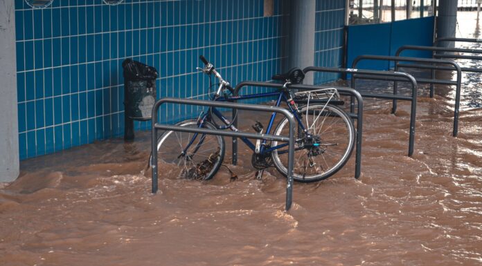 Floods Snatch Many Lives, Belgium Flutters Half-Mars Flag