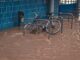 Floods Snatch Many Lives, Belgium Flutters Half-Mars Flag