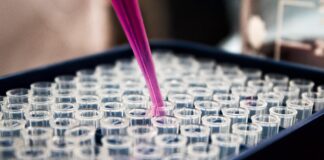 Latest Rates for PCR Tests in Indonesia pcr test