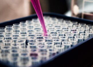 Latest Rates for PCR Tests in Indonesia pcr test