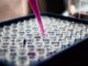 Latest Rates for PCR Tests in Indonesia pcr test