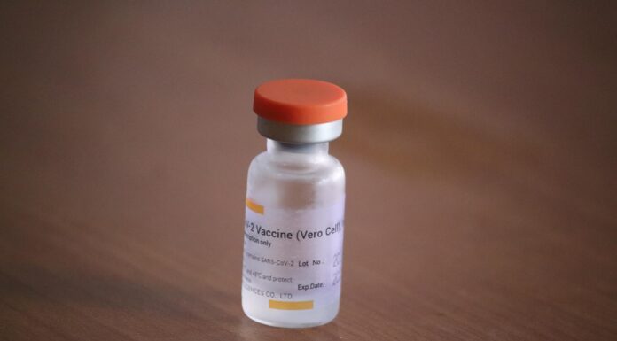 Indonesia Get 5 Million Doses of Sinovac Vaccine Sinovac Vaccine