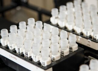 Jokowi Lowers PCR Tests Price to Almost a Half Price pcr test price