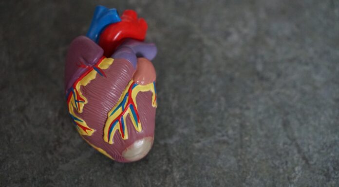 Is It True that Moderna’s Side Effects Cause Heart Attacks? Moderna vaccine effect
