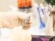 Foreigners Can Get Vaccines in Indonesia Foreigners vaccination