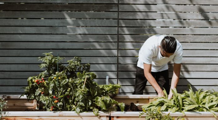 Gardening for Health? Why Not? Gardening