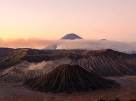 Bromo re-opened