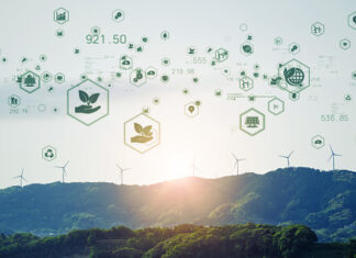 Government Designs Roadmap for Green Economy Transformation